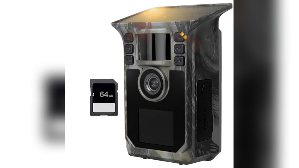 Best Camera for Beginner Wildlife Photography