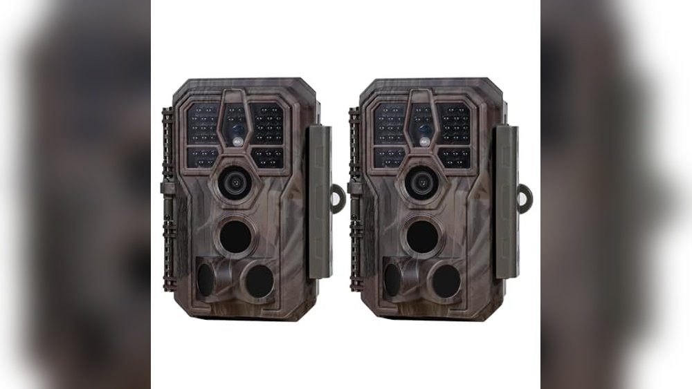 Best Camera for Shooting Wildlife