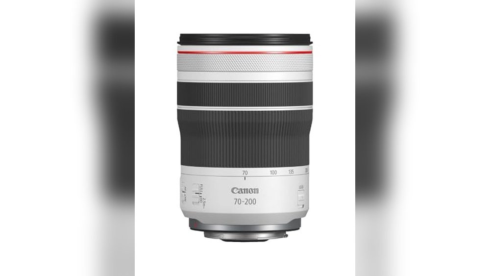 Best Canon Camera for Wildlife Photography