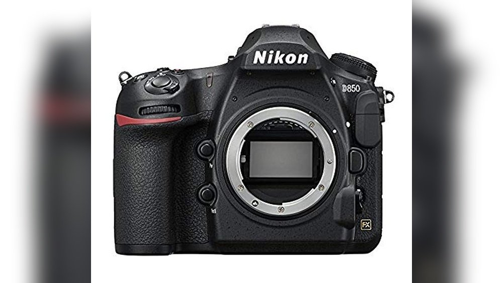 Best Nikon Camera for Wildlife