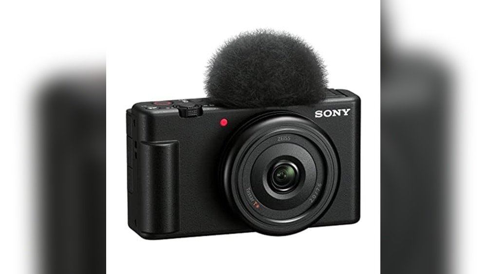 Best Sony Camera for Wildlife Photography