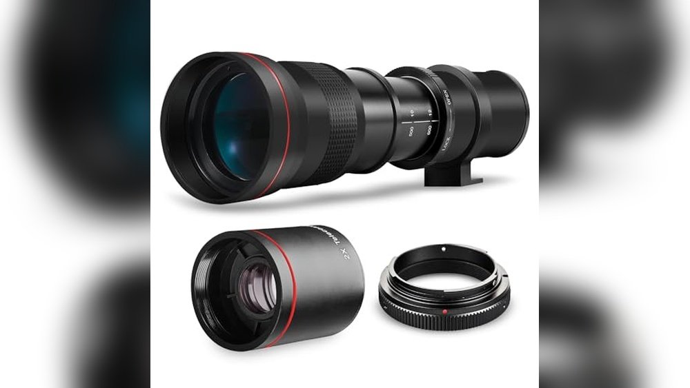 Best Camera And Lens for Wildlife Photography