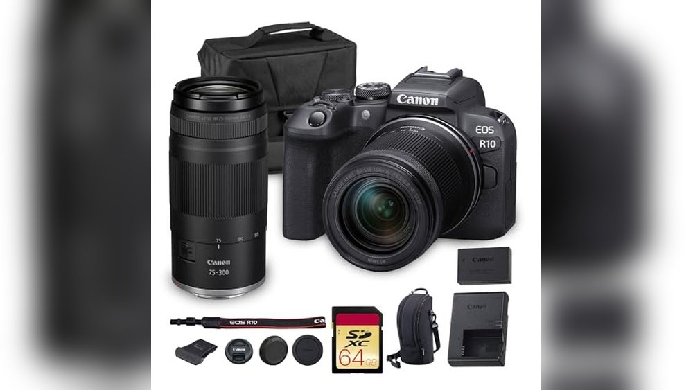 Best Mirrorless Camera for Wildlife Photography