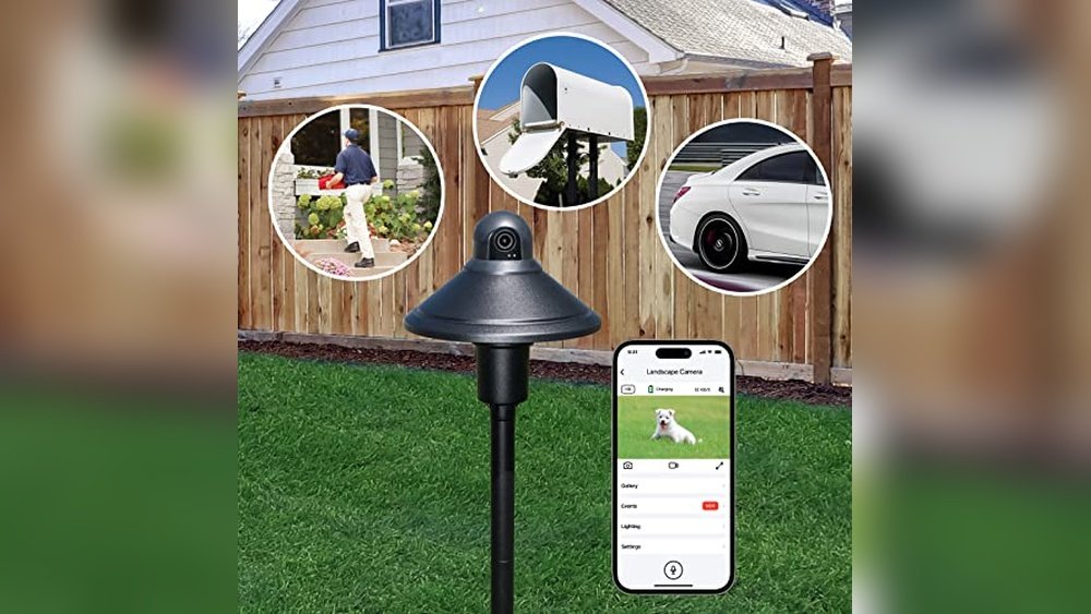 Best Night Camera for Garden Wildlife