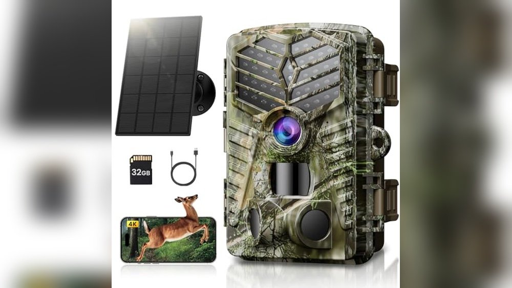 Best Wildlife Camera for Backyard