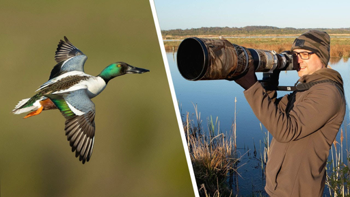 Best Shooting Modes for Wildlife