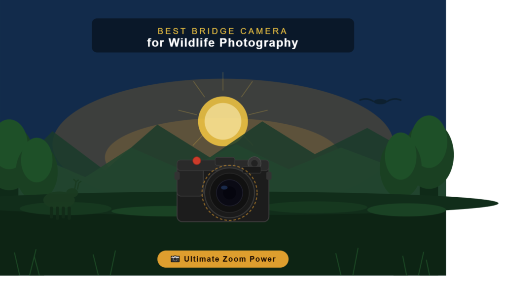Best bridge camera for wildlife photography with long zoom lens in forest golden hour setting