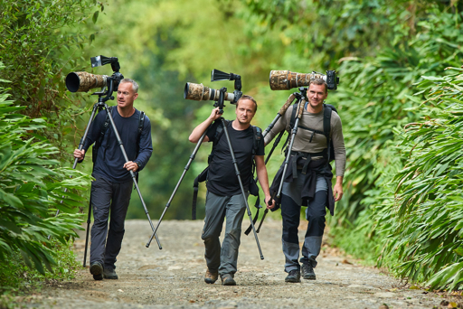Best camera settings for shooting wildlife