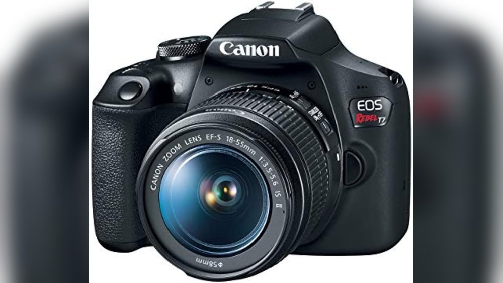 Best Beginner Camera for Nature Photography